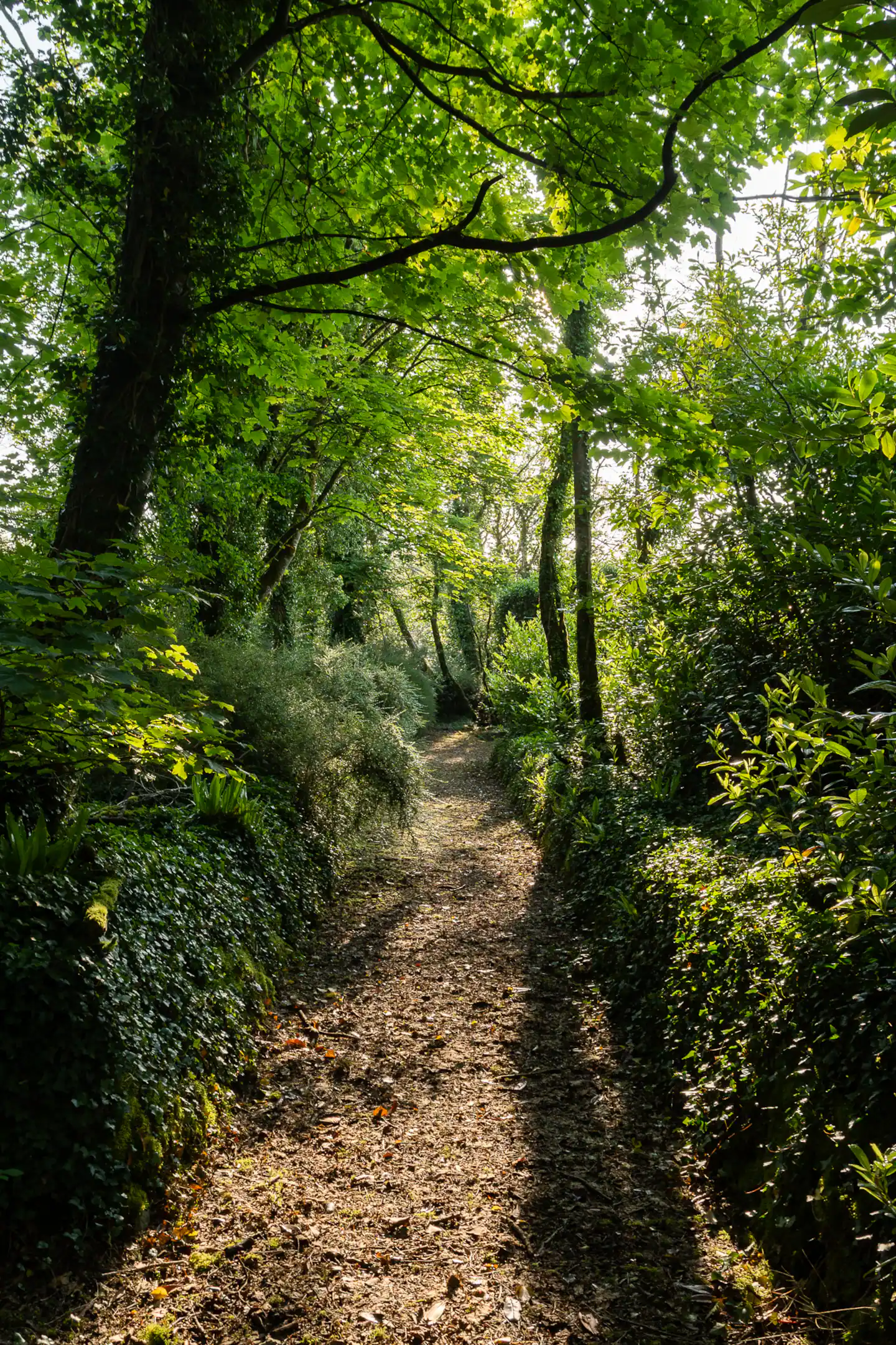 Hiking & Walking — photo 2